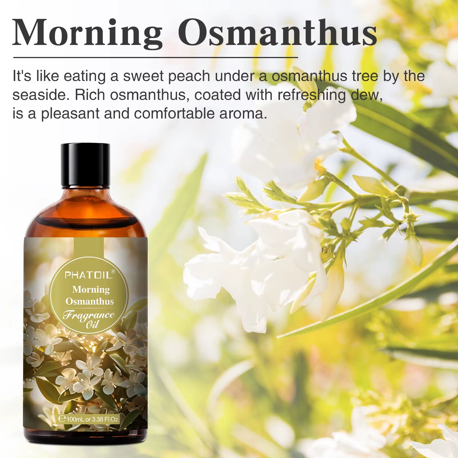 100ML with Dropper Fragrance Oil for Diffuser Fruit Carnival Almond Vanilla Golden Vintage No.1 Lucifer'S Letter Oils